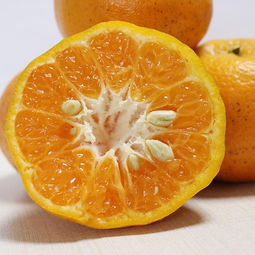 優質農產品助力精準扶貧 新鮮當季水果與蔬菜，脆甜可口全國包郵